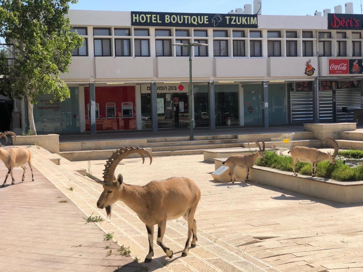Tzukim Desert Traveler'S Hotel - מלון צוקים Mitzpe Ramon Bagian luar foto